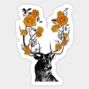 Stag and Roses | Stag and Flowers | Orange Roses | Sticker